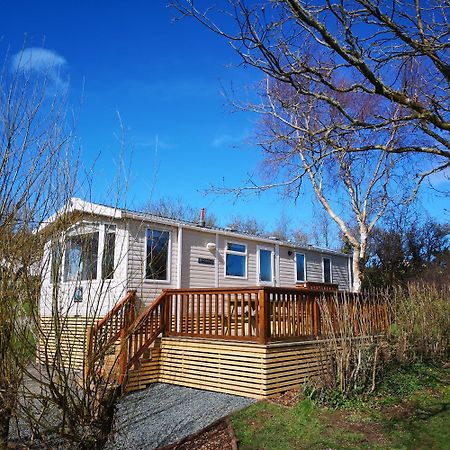 Red Squirrel Holiday Home In The Countryside, 10 Mins To Lligwy Beach Llandyfrydog Zewnętrze zdjęcie