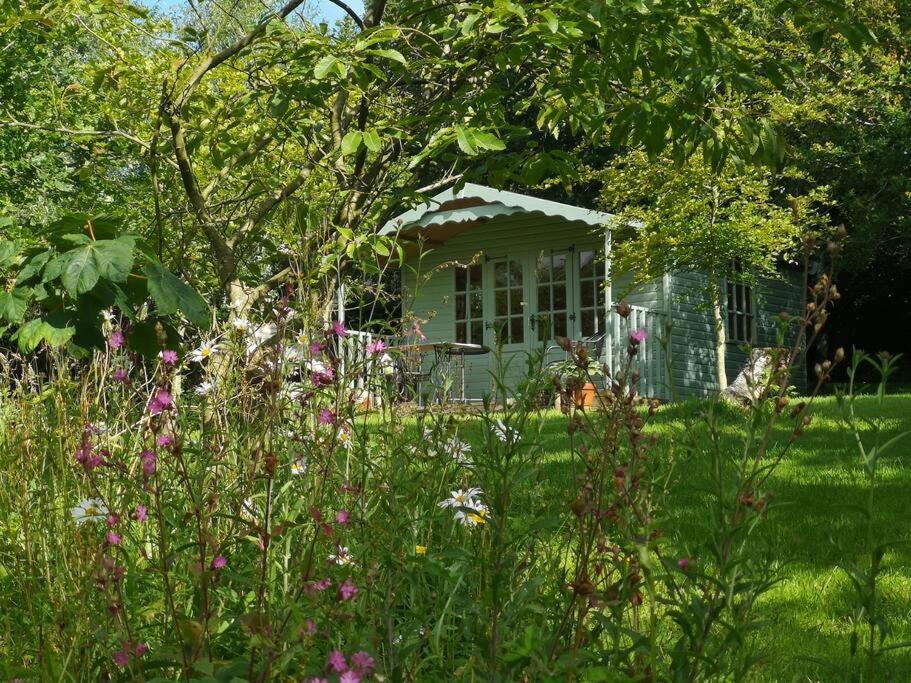 Red Squirrel Holiday Home In The Countryside, 10 Mins To Lligwy Beach Llandyfrydog Zewnętrze zdjęcie