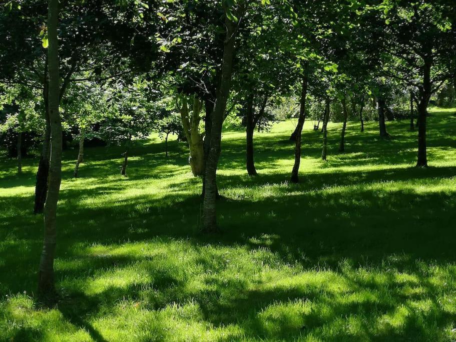 Red Squirrel Holiday Home In The Countryside, 10 Mins To Lligwy Beach Llandyfrydog Zewnętrze zdjęcie